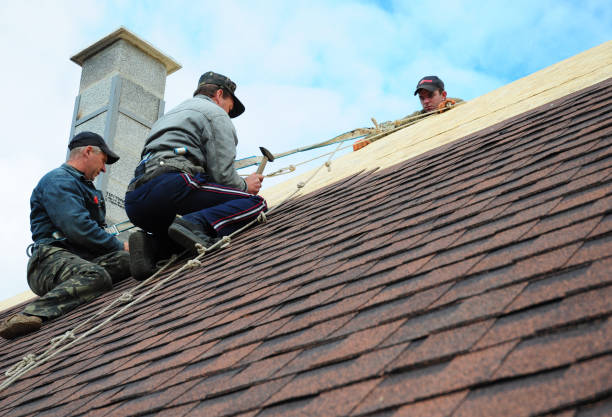 Best Roof Gutter Cleaning  in North Kingsville, OH